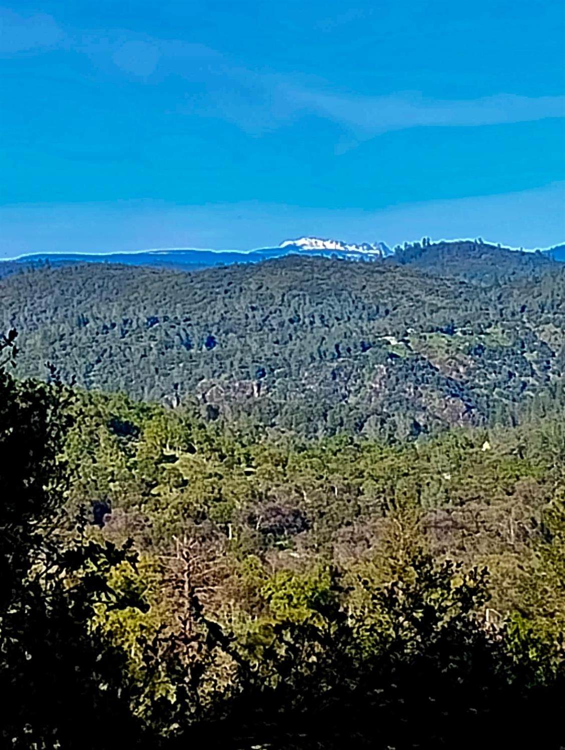 18175 Piper Lane - Photo 1