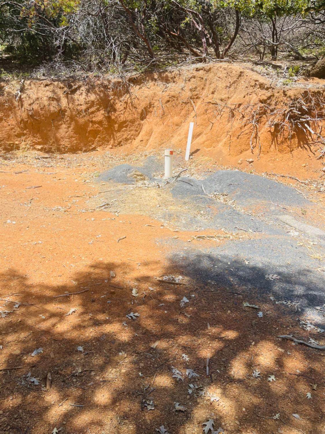 23025 Placer Hills Road - Photo 1