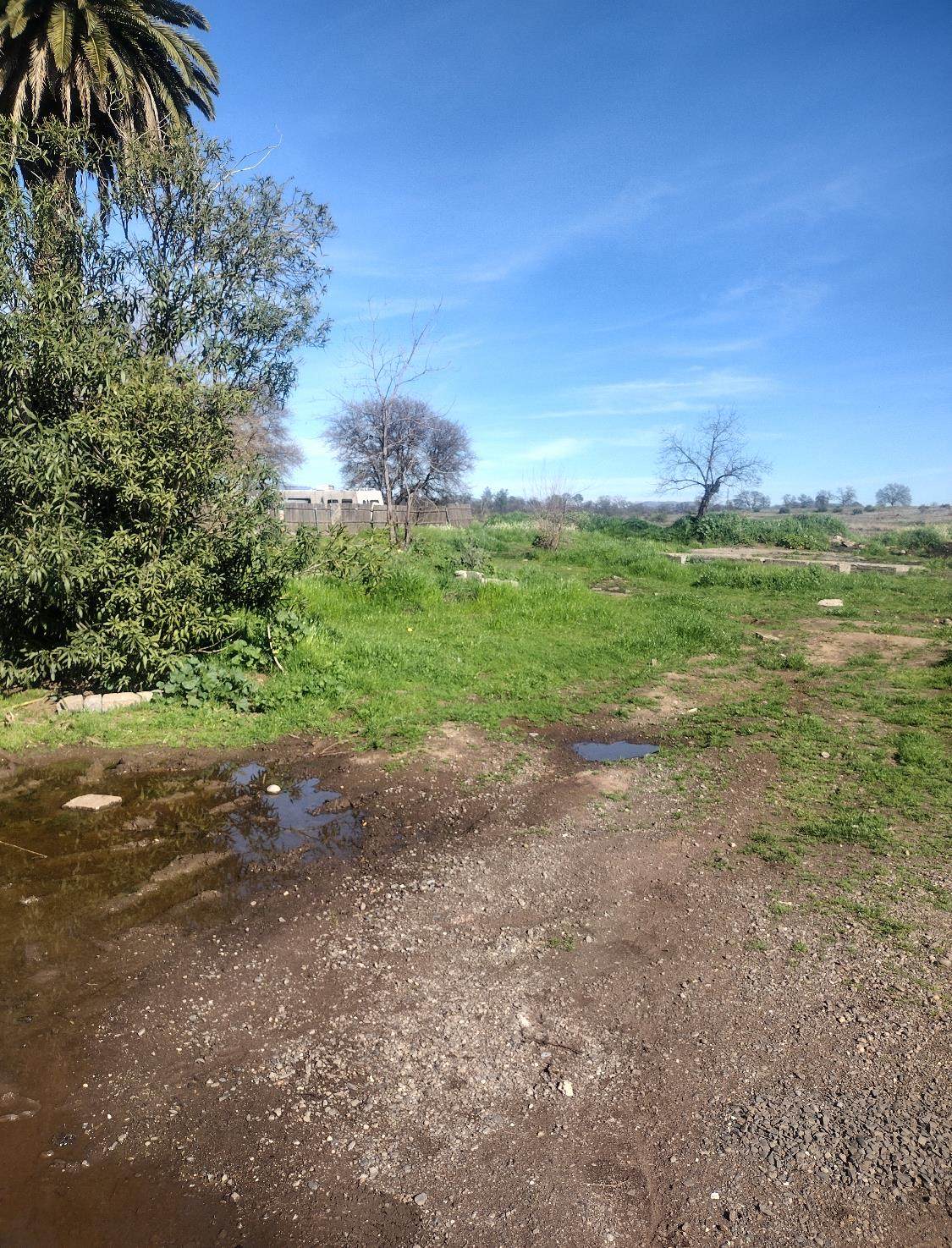 4653 Virginia - Photo 1