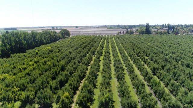 0 River Road - Photo 1