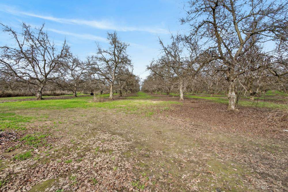 304 Silva Avenue - Photo 1