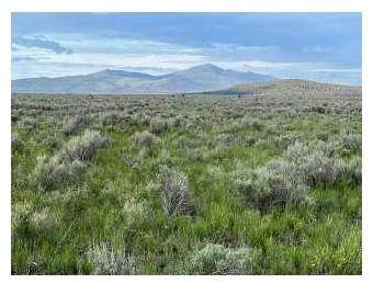 9999 Prairie Drive - Photo 1