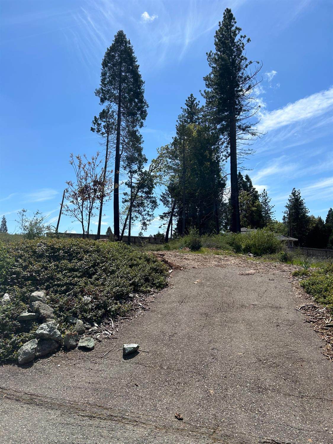 6206 Calvary Court - Photo 1