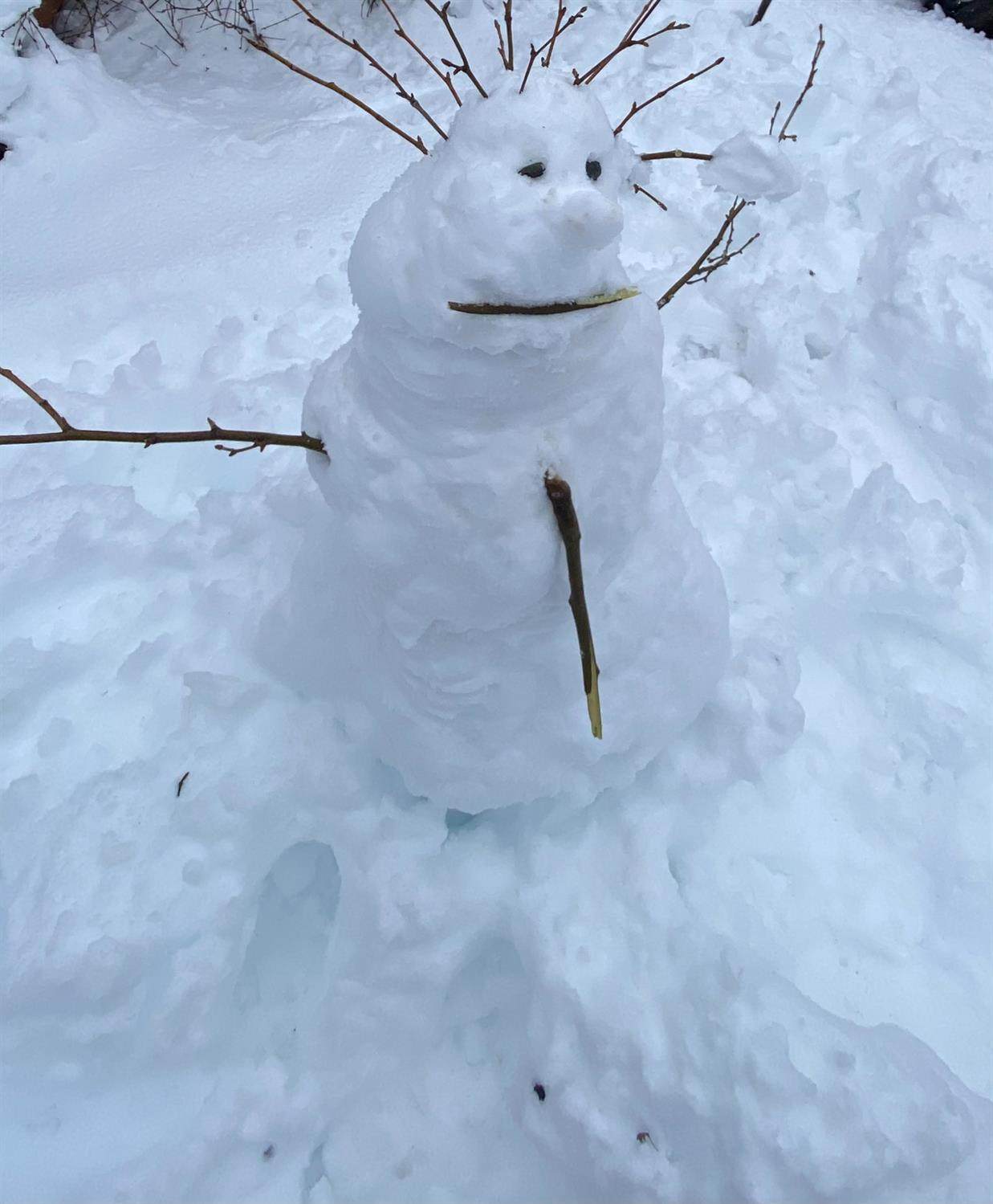 33312 Mattell Way - Photo 1