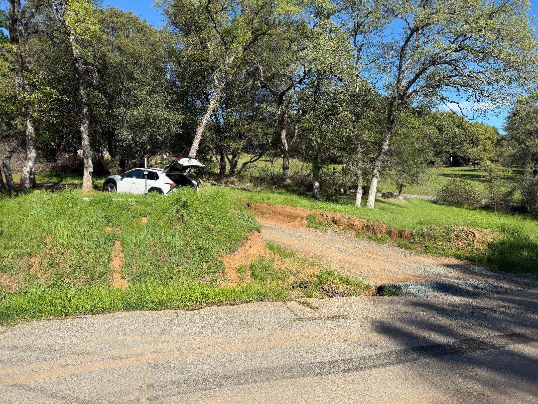 11827 Dawn Drive - Photo 1