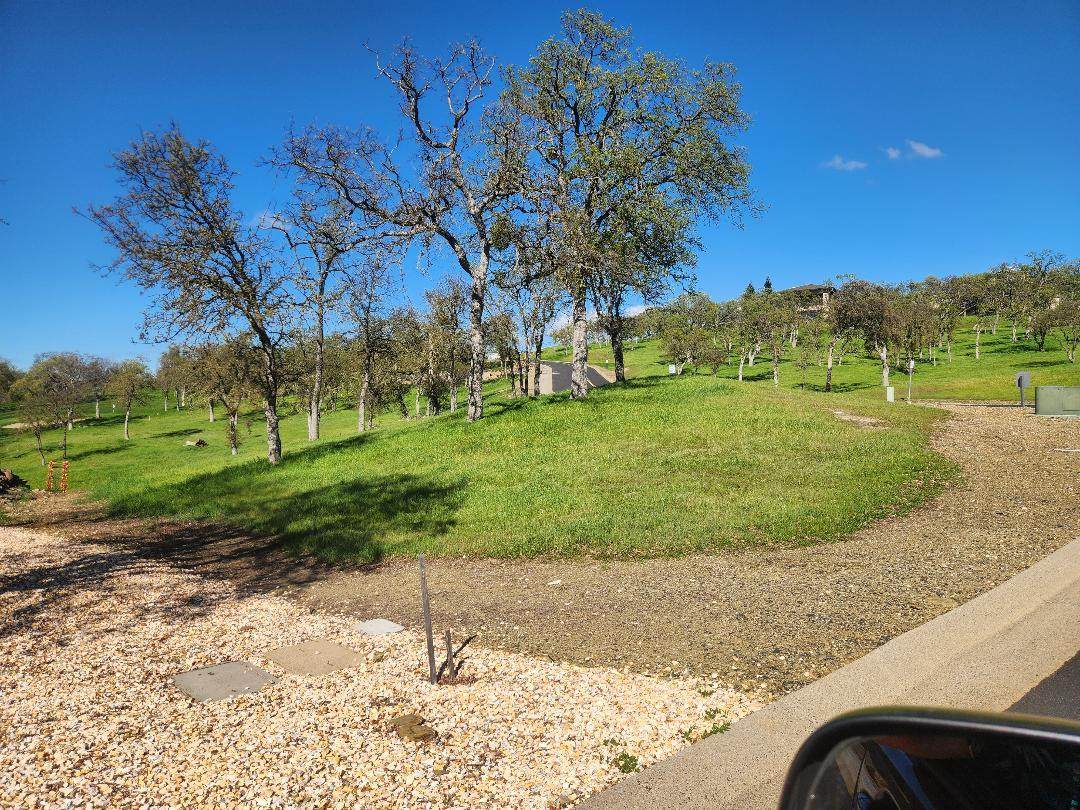 2 Moss Wood - Photo 1