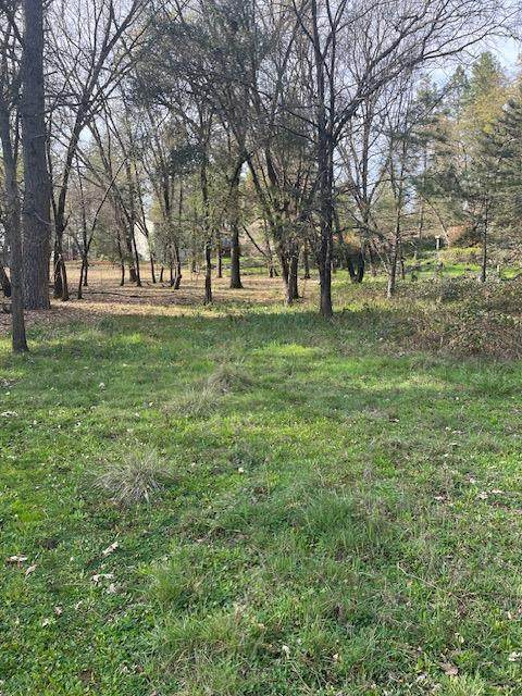 10710 View Way - Photo 1