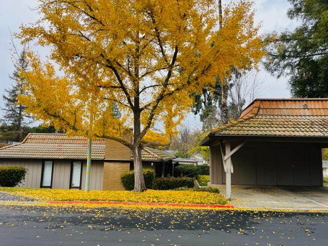 5581 Rubion Circle - Photo 1