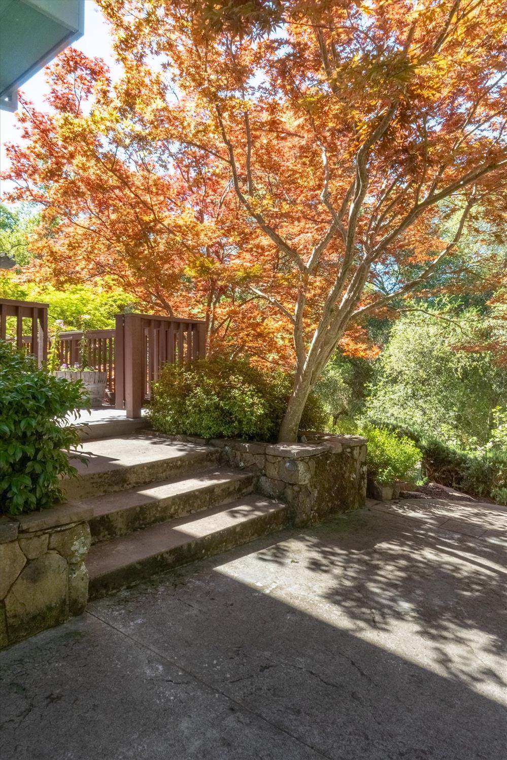 https://bt-photos.global.ssl.fastly.net/sacramento/1280_boomver_1_561060120-2.jpg