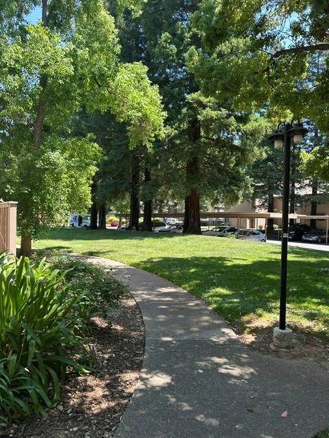 https://bt-photos.global.ssl.fastly.net/sacramento/orig_boomver_1_561099397-2.jpg