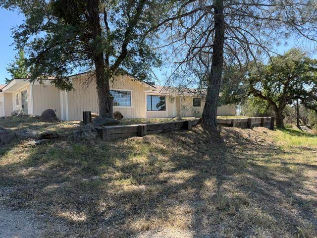 31336 Dome Drive - Photo 1