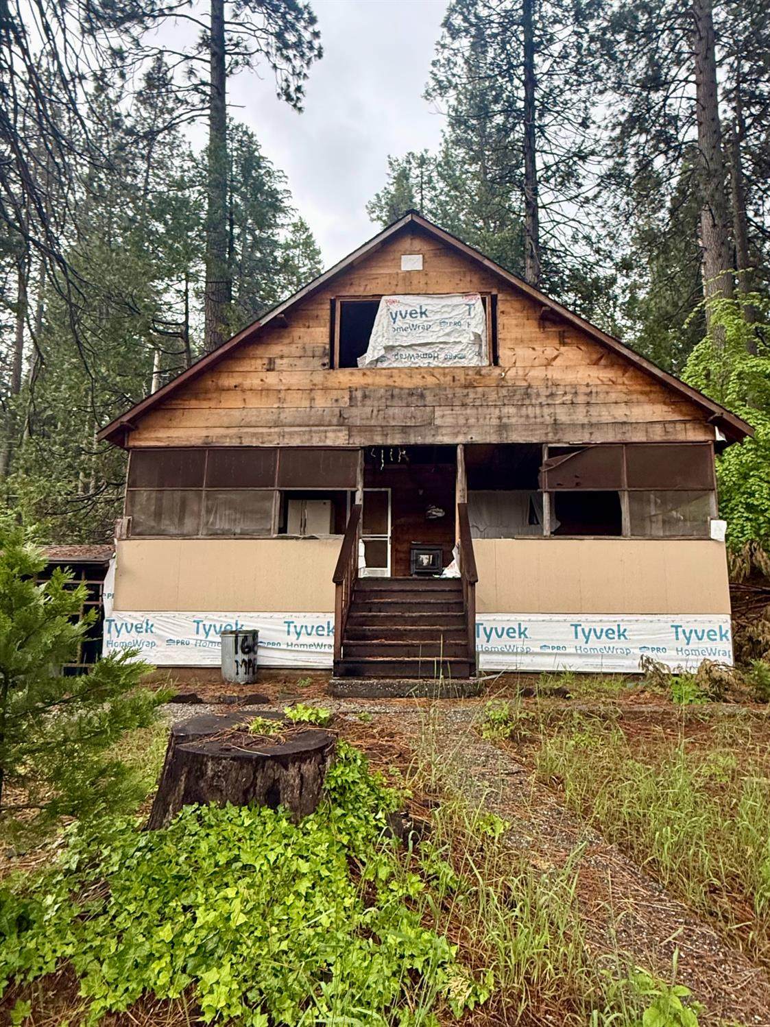 1686 Maple Street - Photo 1