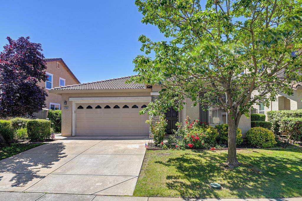 4390 Niobe Circle - Photo 1