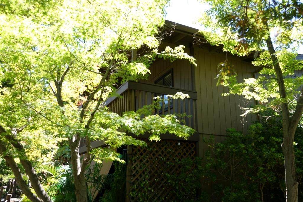 https://bt-photos.global.ssl.fastly.net/sacramento/orig_boomver_1_561190406-2.jpg