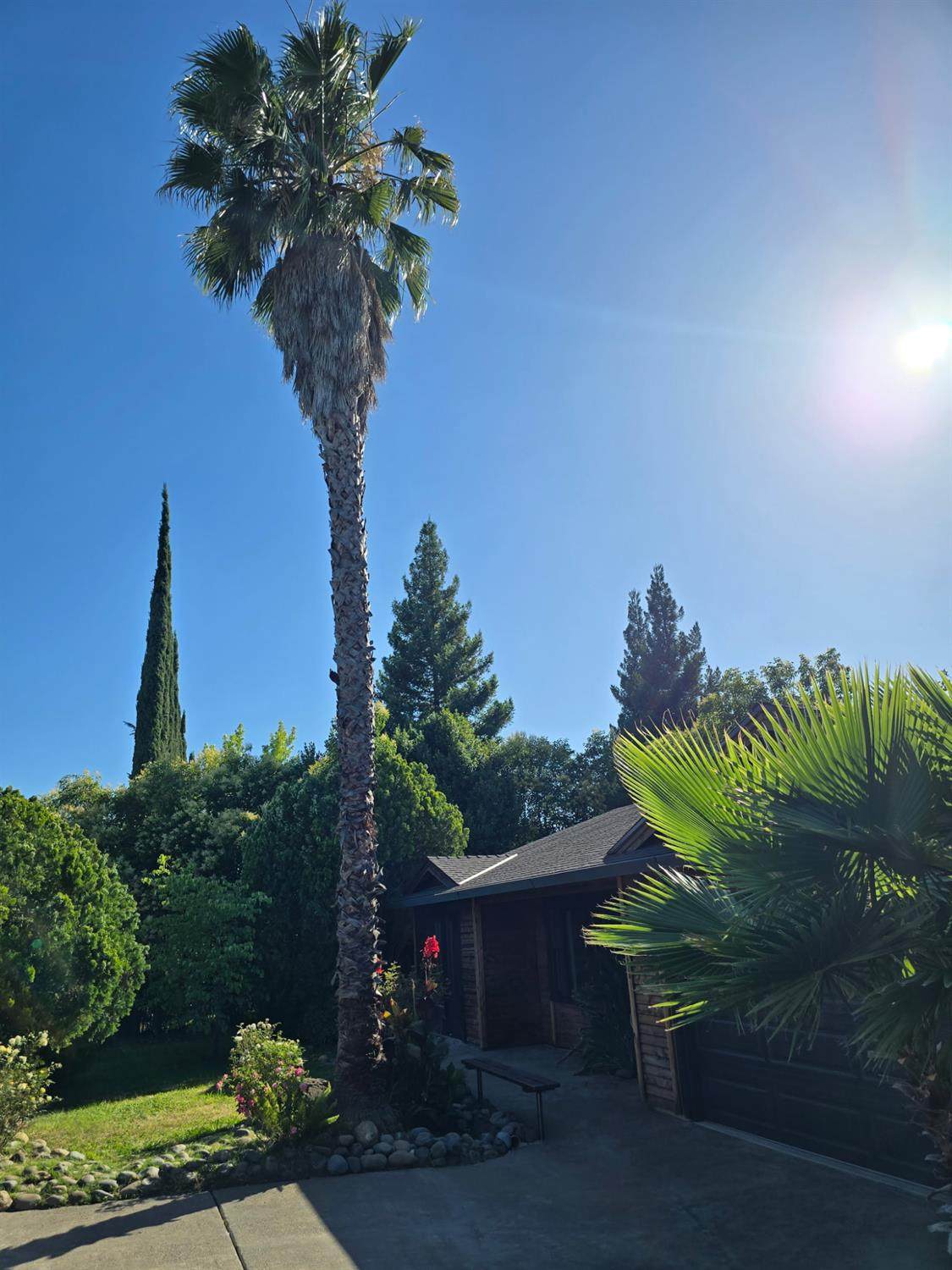https://bt-photos.global.ssl.fastly.net/sacramento/orig_boomver_1_561202451-2.jpg