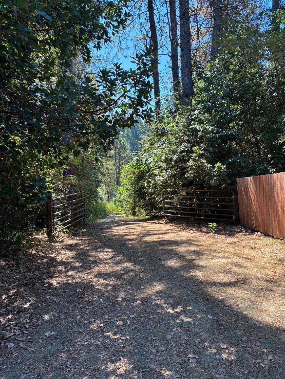 https://bt-photos.global.ssl.fastly.net/sacramento/orig_boomver_1_561216182-2.jpg
