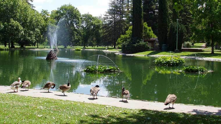 https://bt-photos.global.ssl.fastly.net/sacramento/orig_boomver_1_561230601-2.jpg