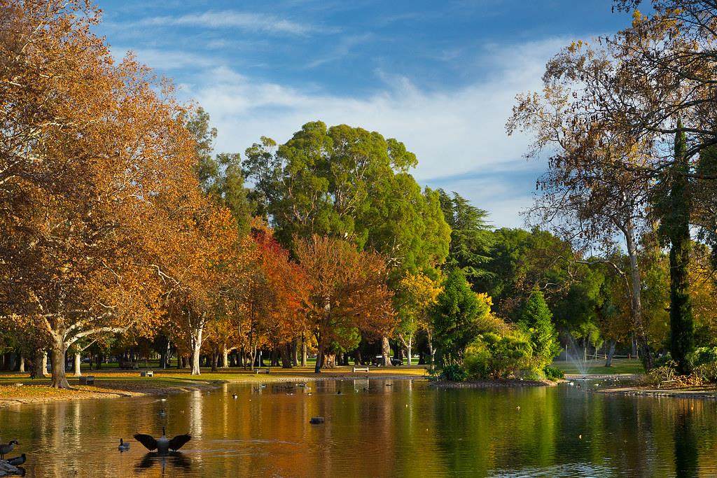 https://bt-photos.global.ssl.fastly.net/sacramento/orig_boomver_1_561230601-2.jpg