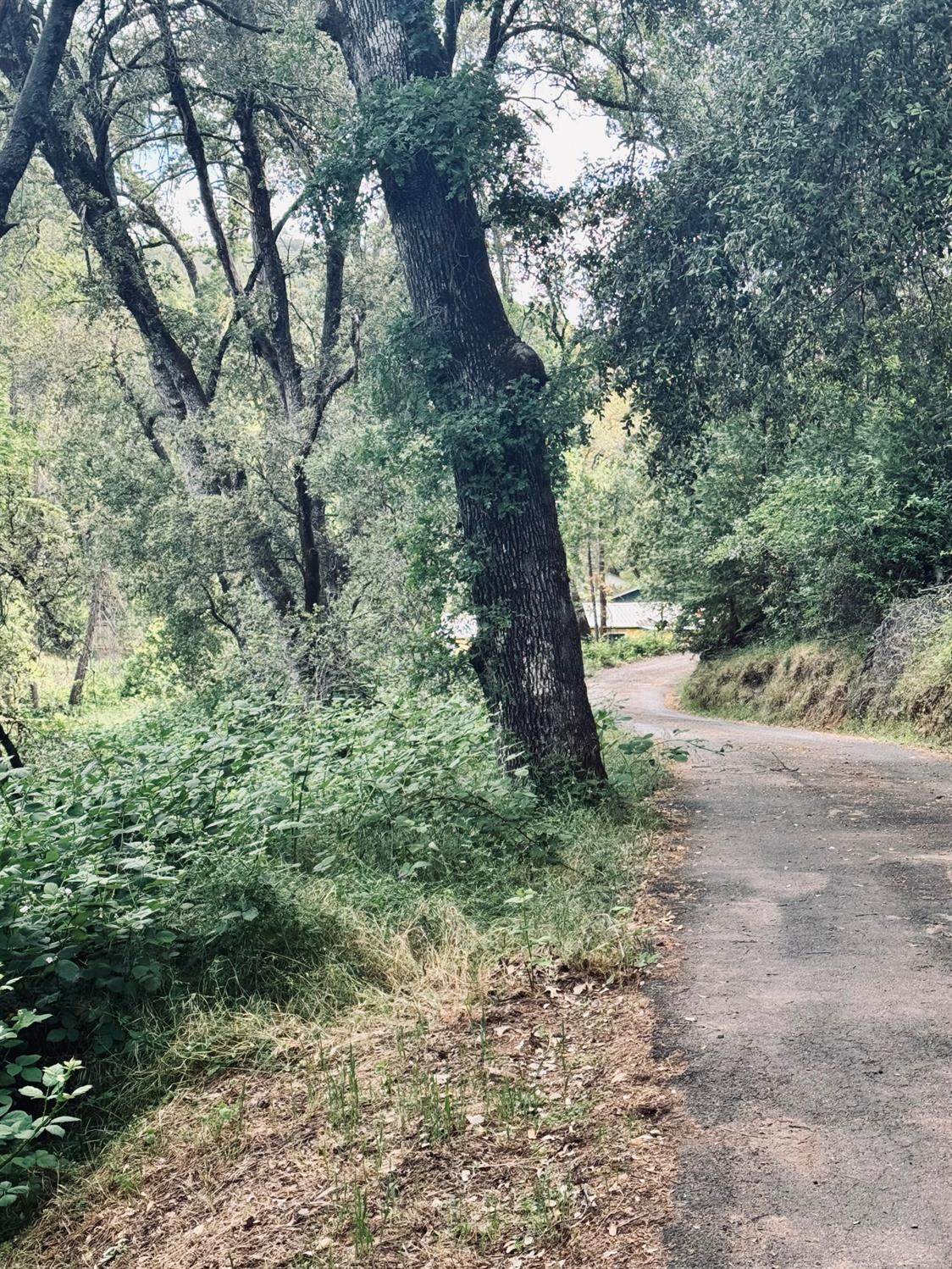 https://bt-photos.global.ssl.fastly.net/sacramento/orig_boomver_1_561231451-2.jpg