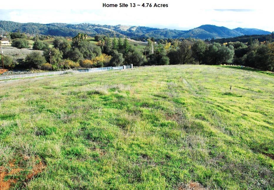3140 Rattlesnake Bar-Lot #13 Road - Photo 1