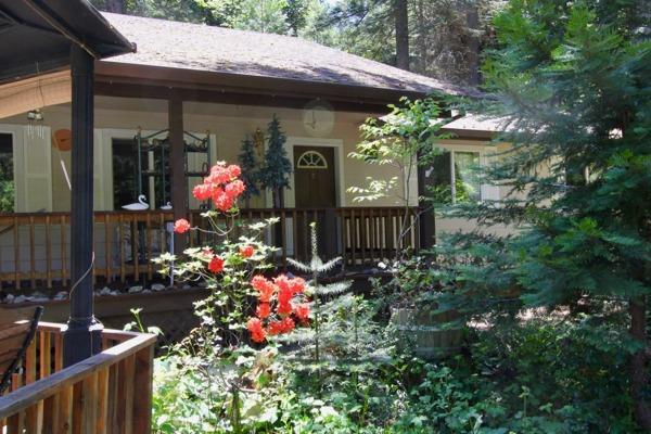 160 Big Fir Road - Photo 1