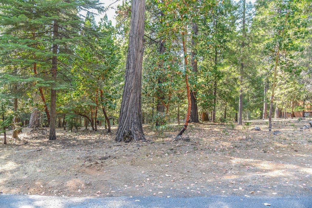 26889 Woodland Road - Photo 1