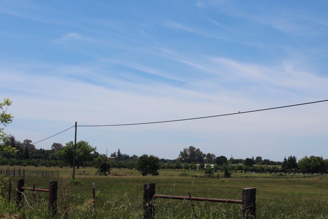 0 Morrison Road - Photo 1