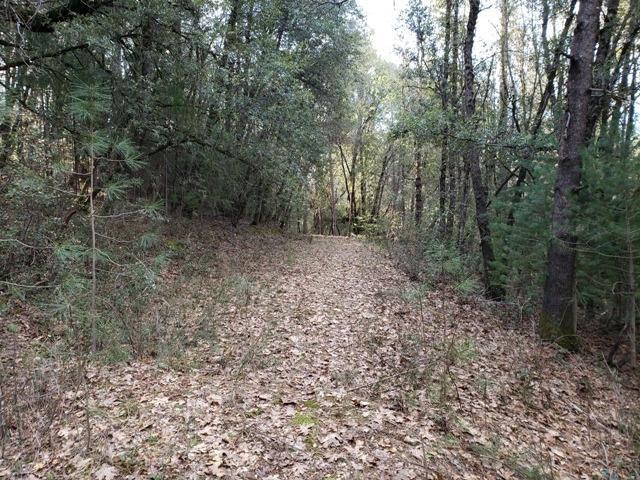5060 Black Oak Mine Road - Photo 1