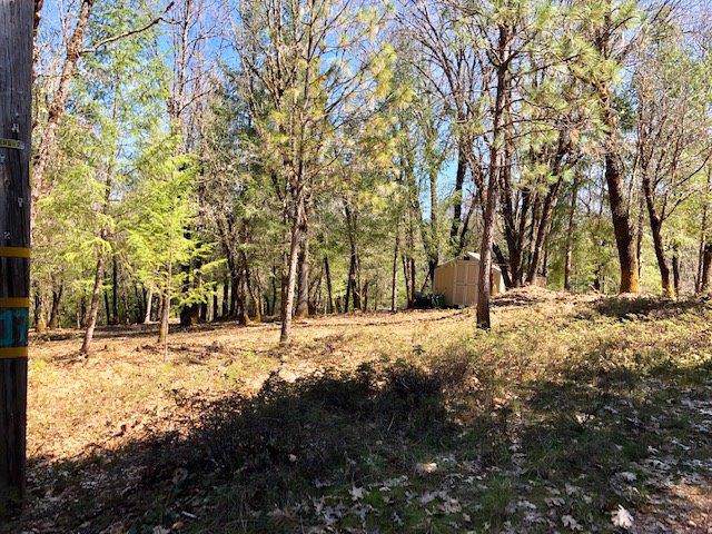 16573 You Bet Road - Photo 1