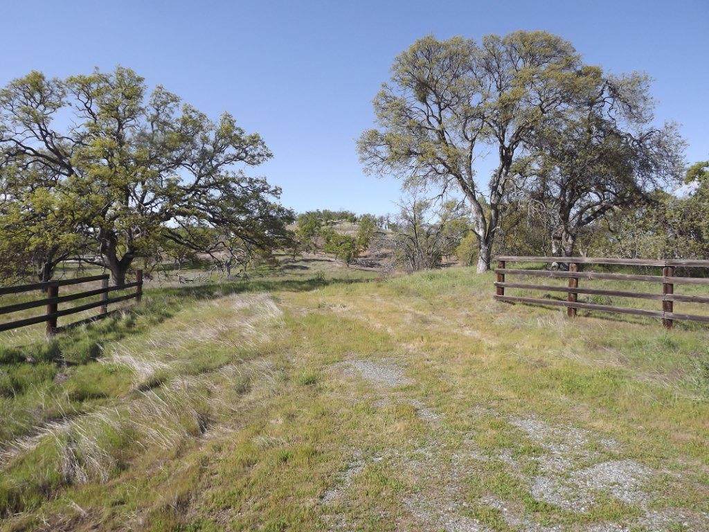 0-3T-802 Ladera Way - Photo 1