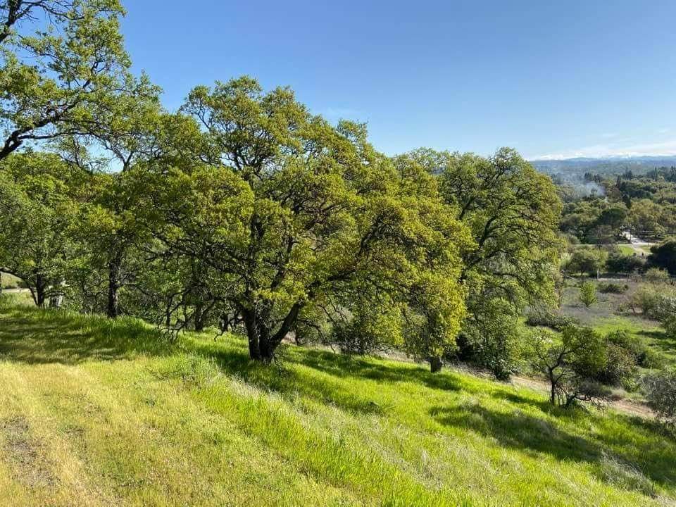 2550 Newcastle Road - Photo 1