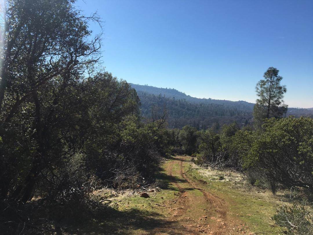 21478 Phoenix Lake Road - Photo 1