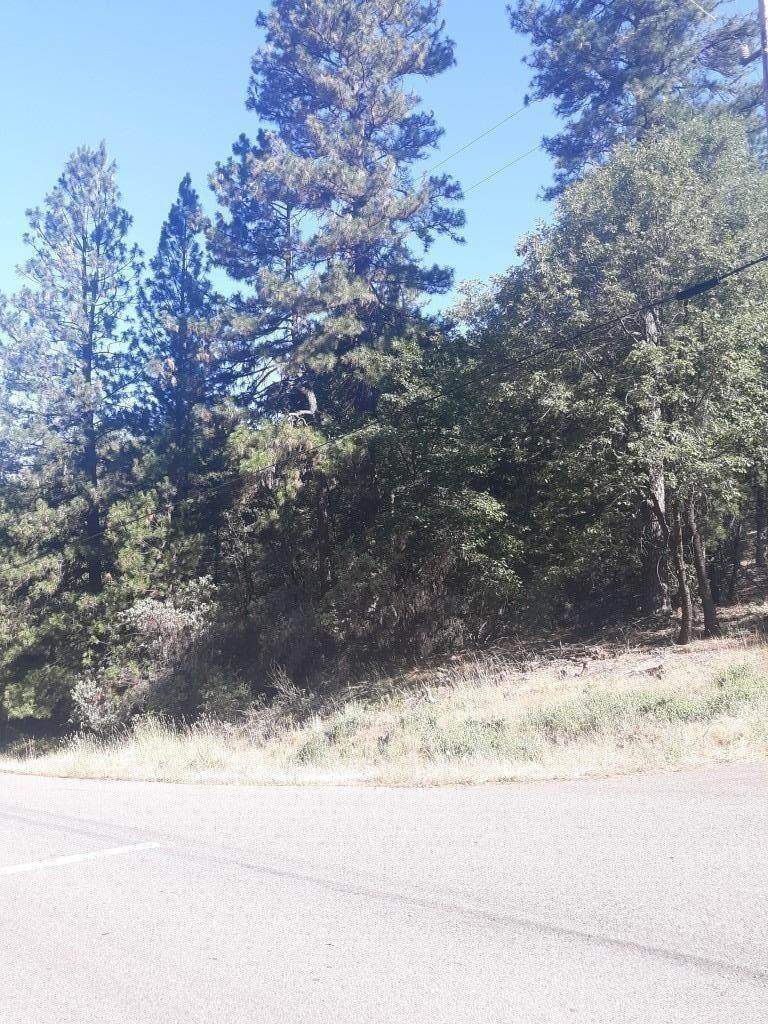 20528 Wolf Creek Road - Photo 1
