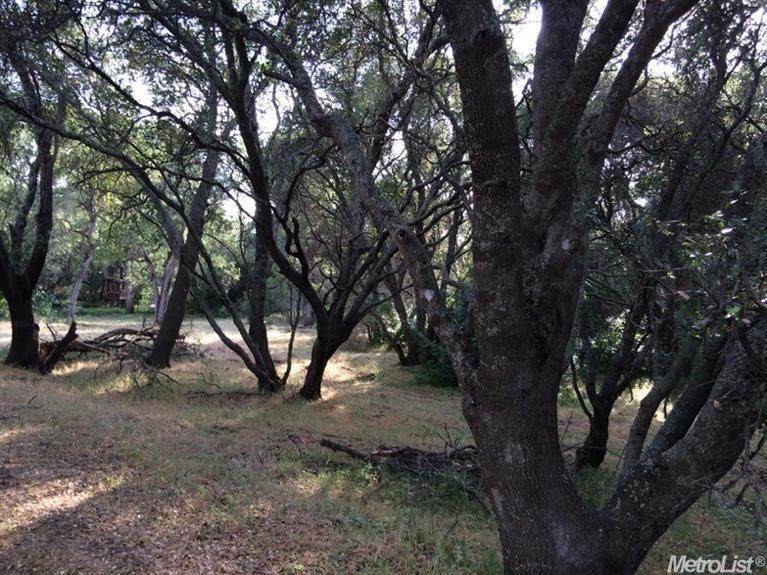 7420 Vogel Valley Road - Photo 1