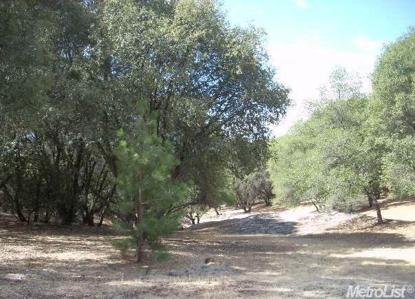 71 Dream Ranch Circle - Photo 1