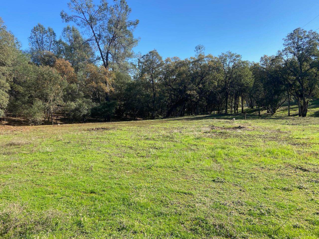 22828 Cameo Drive - Photo 1