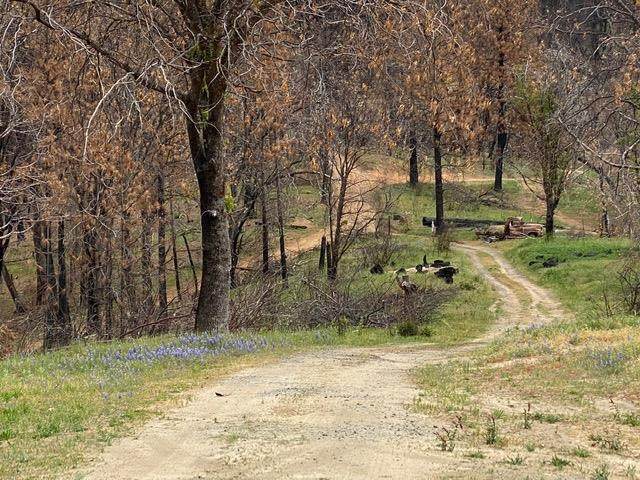 0 Long Point Road - Photo 1