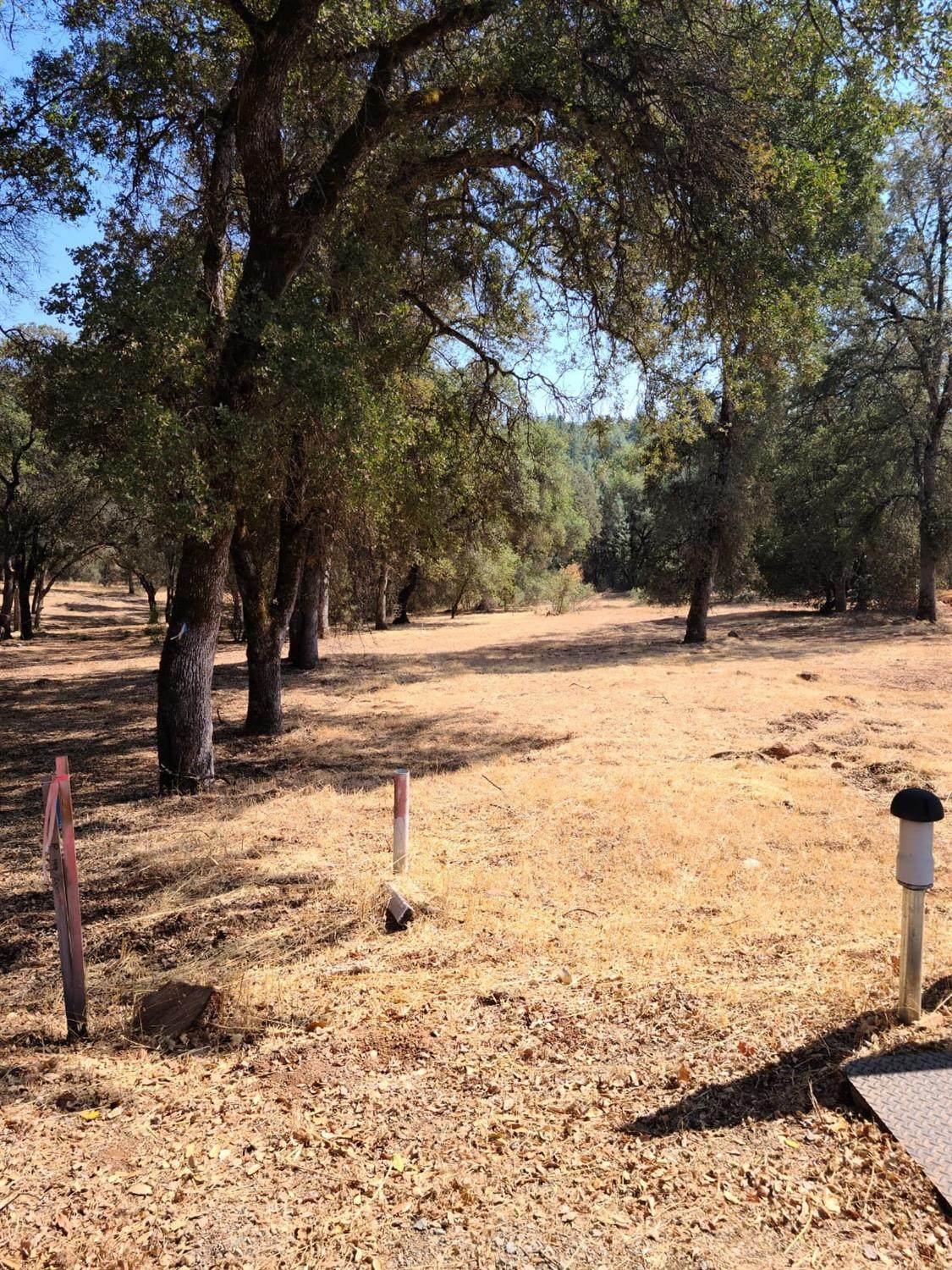 12841 Masters Court - Photo 1
