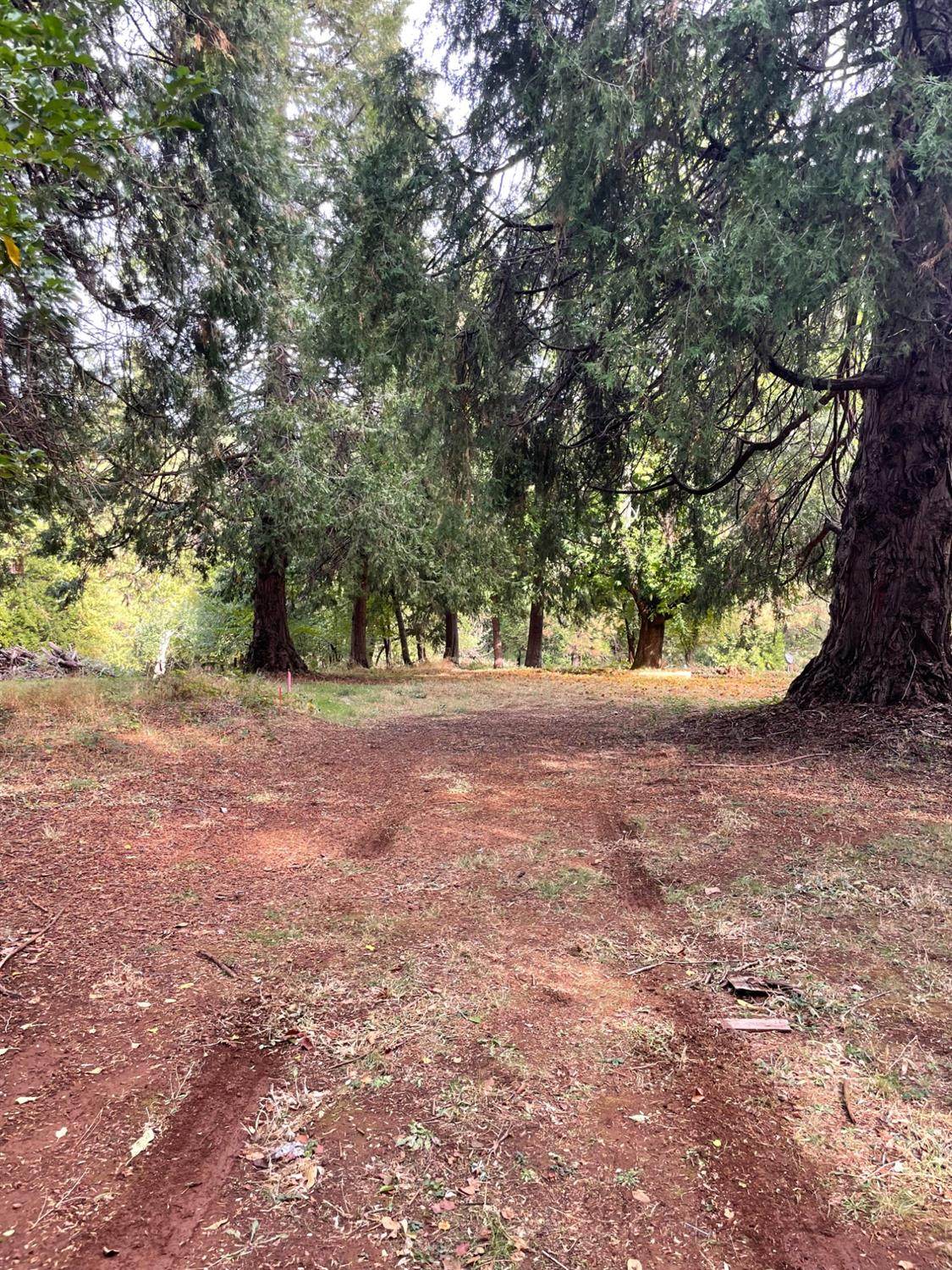 202 Gold Flat Rd - Photo 1