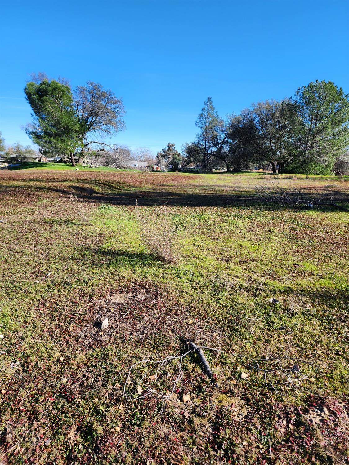 4046 Winding Lane - Photo 1