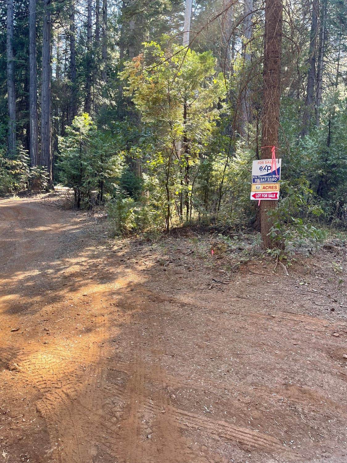 1935 Moody Ridge - Photo 1