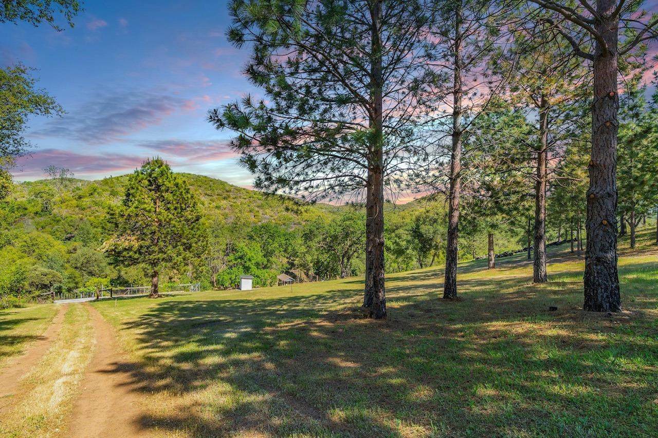 6650 Starlight Lane - Photo 1