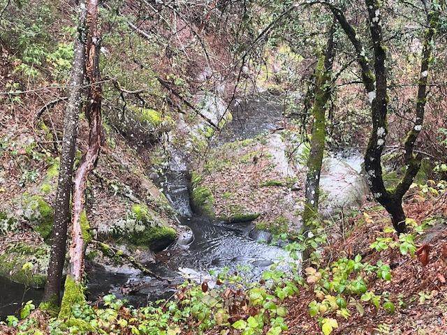 7771 Boondock Trail - Photo 1