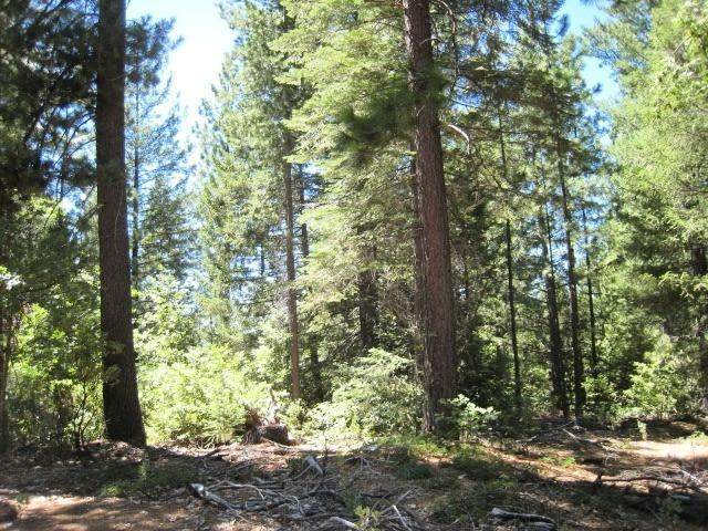 https://bt-photos.global.ssl.fastly.net/sacramento/orig_boomver_2_560821596-2.jpg