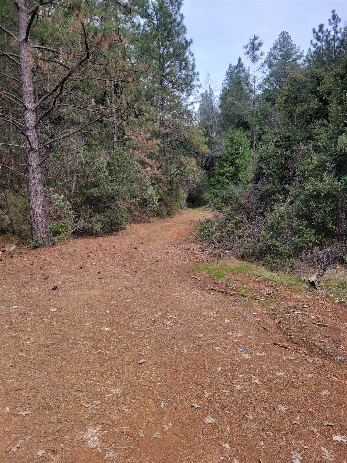 7 Canyon Way - Photo 1