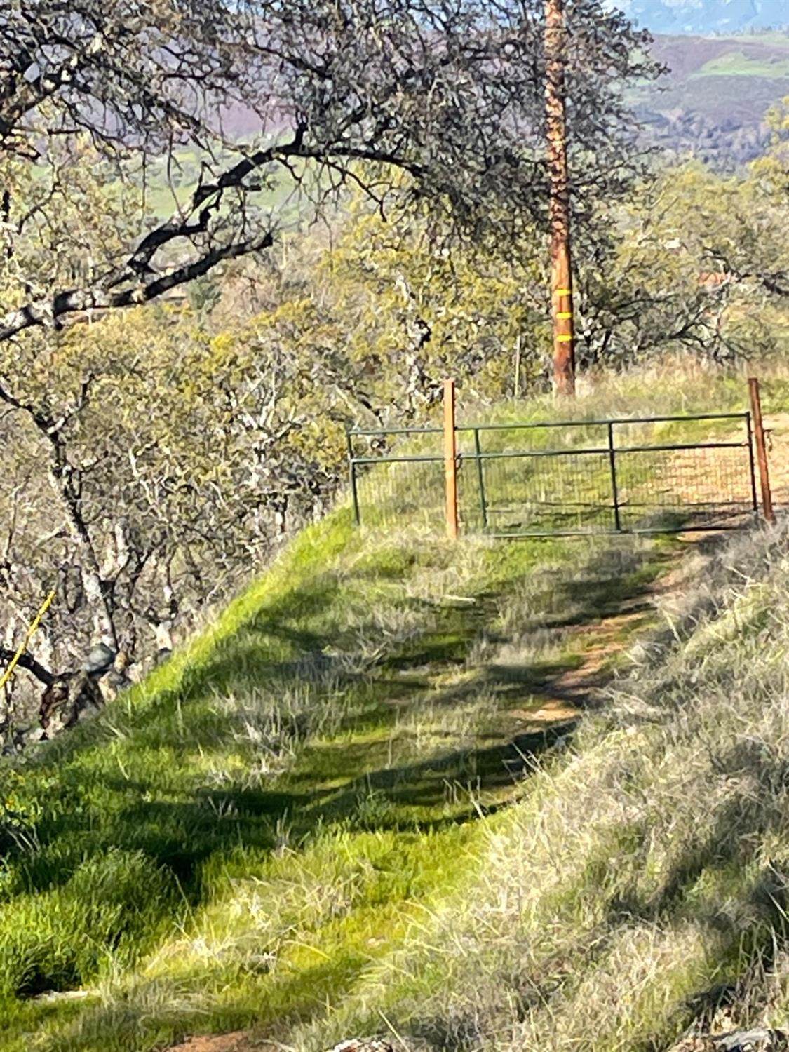 9373 Lazo Way - Photo 1