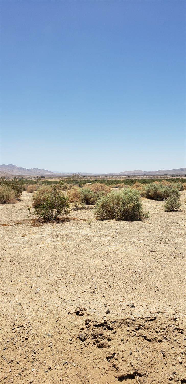 0 Wheeler Road - Photo 1