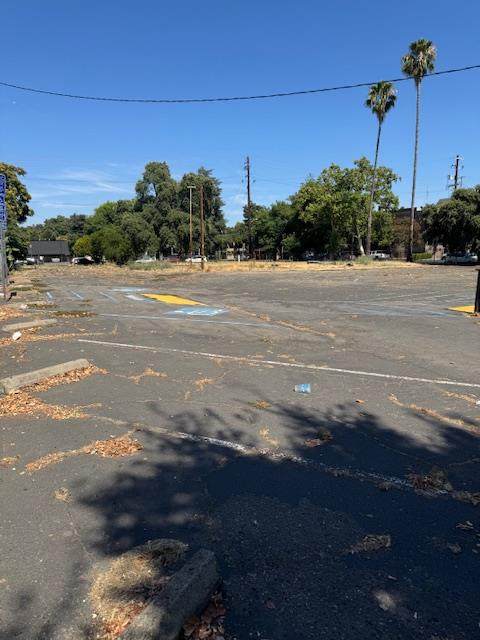 233 Acacia Street - Photo 1