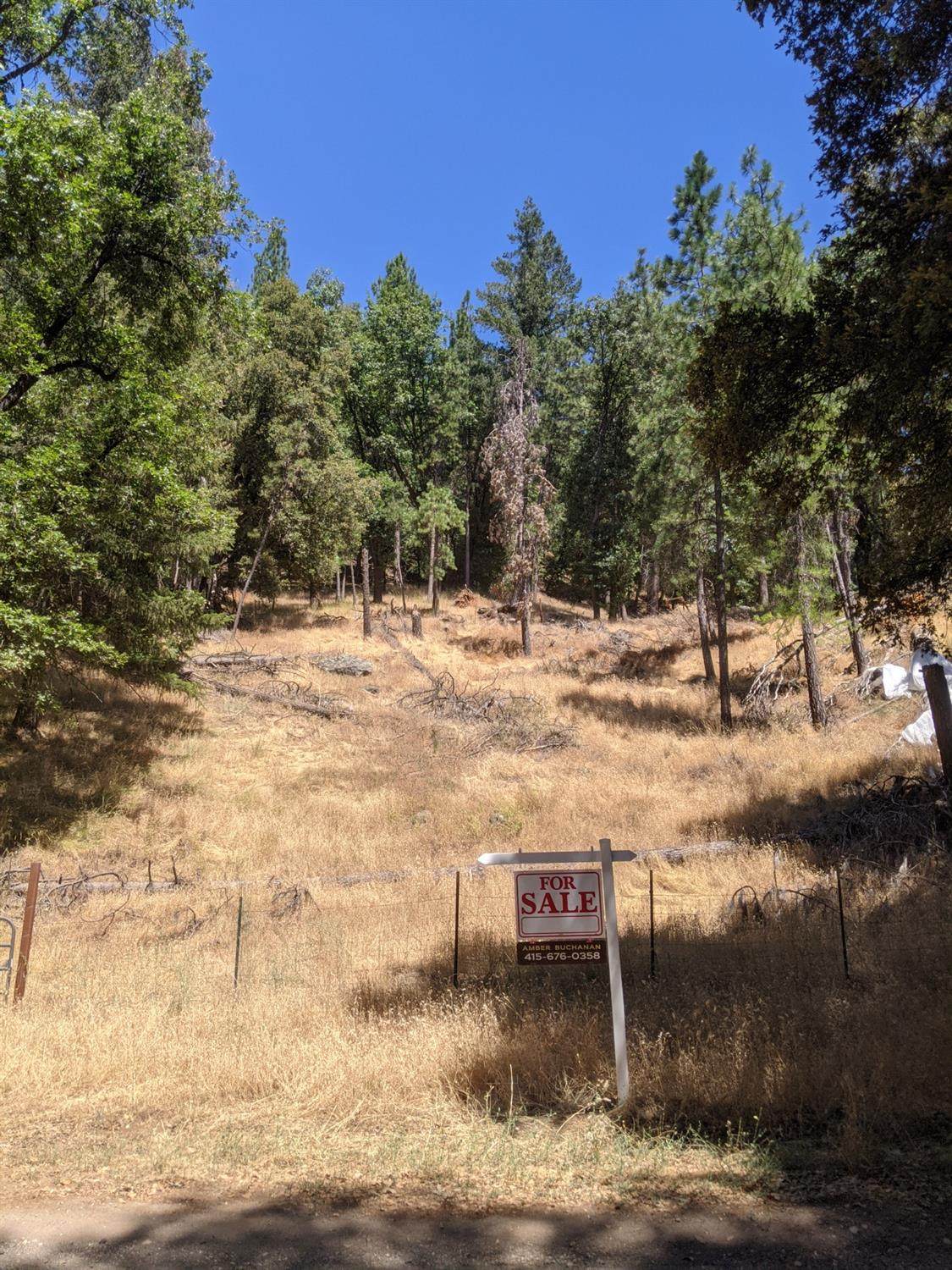 17721 Knoll Top Drive - Photo 1