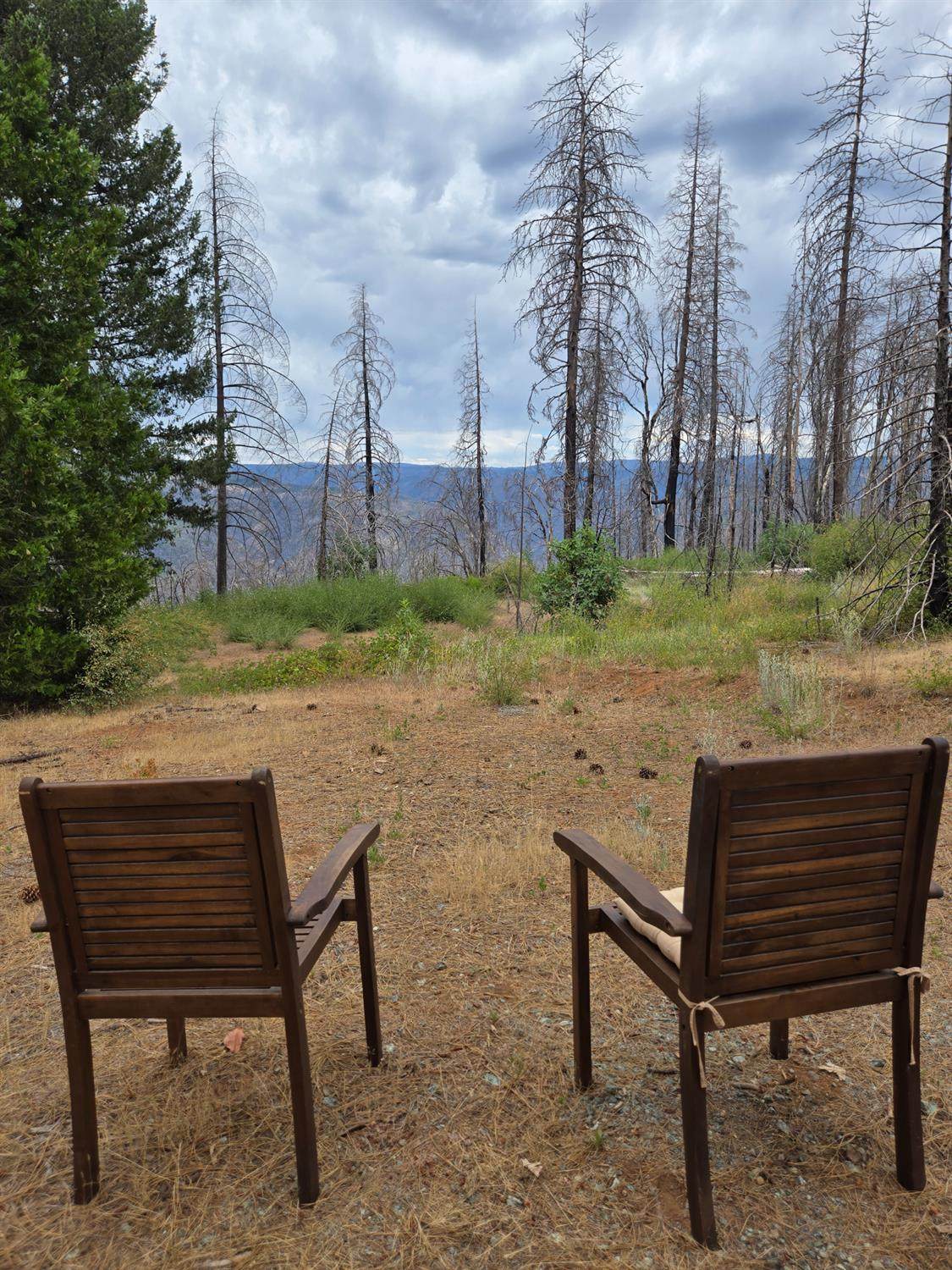 4071 Volcanoville Road - Photo 1